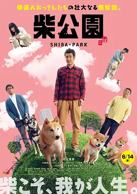 精品亚洲成a人在线播放
