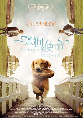久久综合狠狠综合狠狠