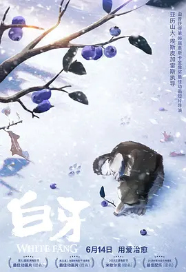 福利精品视频