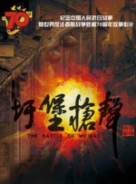 久久综合激情
