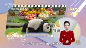 成人香蕉